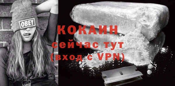 гашик Белоозёрский