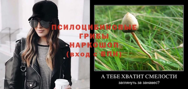 каннабис Беломорск