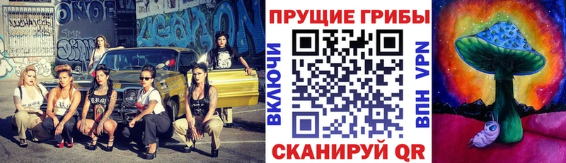 купить наркотики сайты  Кировград  Псилоцибиновые грибы MAGIC MUSHROOMS 